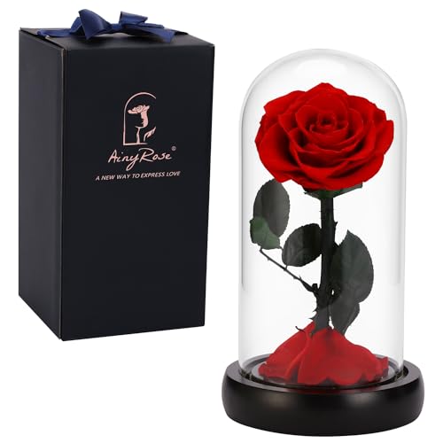 SW Forever Preserved Real Black Rose Flower Birthday Gifts for Mom Women,Valentines Gifts Black Eternal Flower in Glass Gifts for Valentine's Day Mothers Day Christmas Anniversary Birthday (Black)