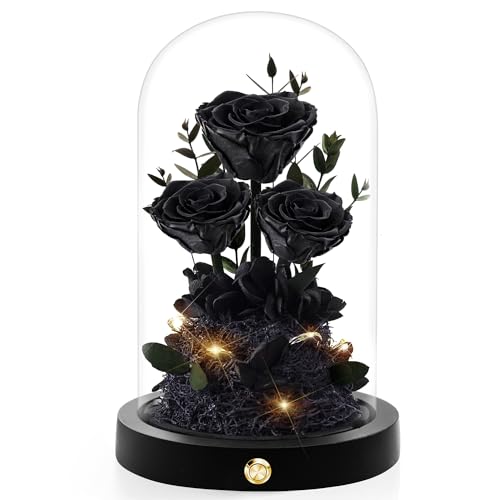 Valentines Day Flowers Roses Gifts for Her Preserved Roses in Glass Dome Forever Real Roses for Wife Girlfriend,Gifts Women Mom Best Friend Grandma,Purple Roses Gifts for Her.