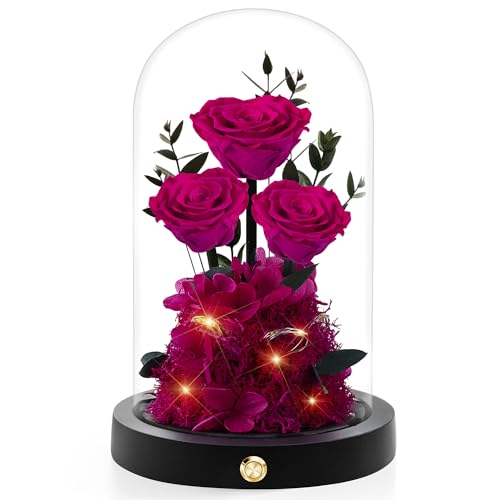 Valentines Day Flowers Roses Gifts for Her Preserved Roses in Glass Dome Forever Real Roses for Wife Girlfriend,Gifts Women Mom Best Friend Grandma,Purple Roses Gifts for Her.