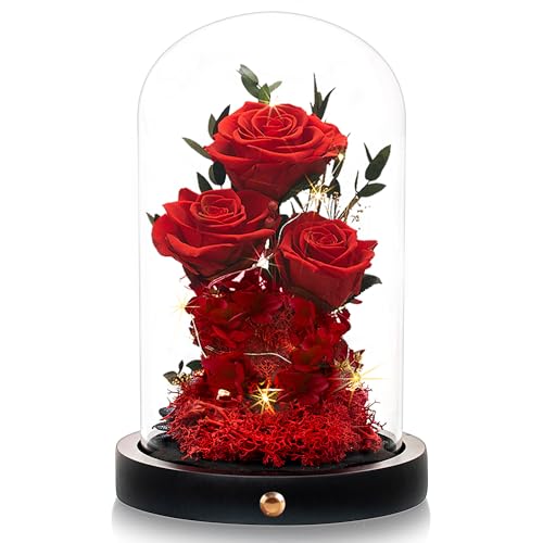 Valentines Day Flowers Roses Gifts for Women,Forever Preserved Roses in Glass Dome, Anniversary Thanksging Birthday Valentines Day Real Roses Gifts for Her Wife Mom Girlfrien/Purple