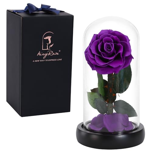 SW Forever Preserved Real Black Rose Flower Birthday Gifts for Mom Women,Valentines Gifts Black Eternal Flower in Glass Gifts for Valentine's Day Mothers Day Christmas Anniversary Birthday (Black)