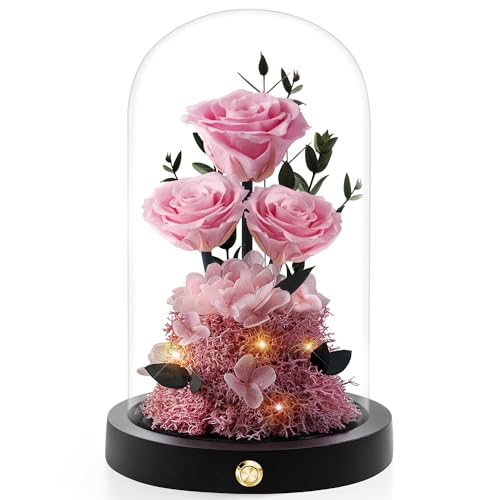 Valentines Day Flowers Roses Gifts for Women,Forever Preserved Roses in Glass Dome, Anniversary Thanksging Birthday Valentines Day Real Roses Gifts for Her Wife Mom Girlfrien/Purple