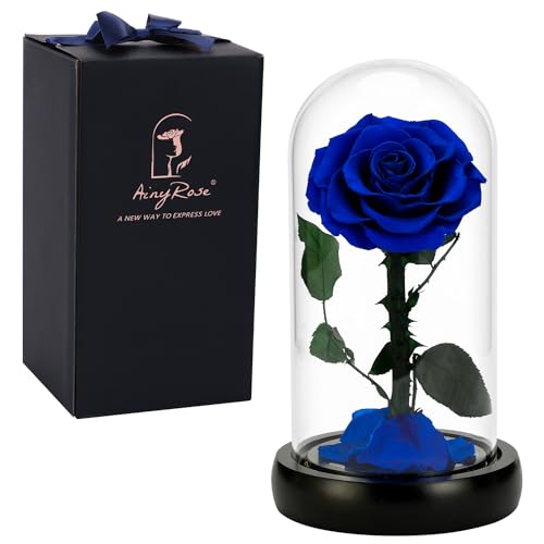 SW Forever Preserved Real Black Rose Flower Birthday Gifts for Mom Women,Valentines Gifts Black Eternal Flower in Glass Gifts for Valentine's Day Mothers Day Christmas Anniversary Birthday (Black)