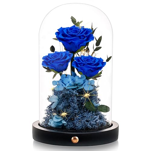 Valentines Day Flowers Roses Gifts for Women,Forever Preserved Roses in Glass Dome, Anniversary Thanksging Birthday Valentines Day Real Roses Gifts for Her Wife Mom Girlfrien/Purple