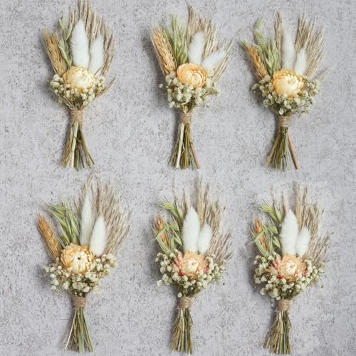 Mini Dried Flower Bouquet Set of 6, Boho Wedding Decor, Boutonniere for Men,Table Centerpieces, Dry Pampas Grass,Birthday Cake Flowers,Personalized Bridesmaid Gift Box,Small Bottles Decoration.(White)