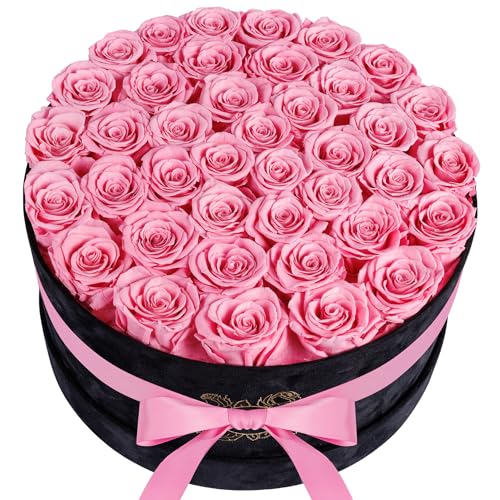 Luxury Preserved Roses in Suede Box - Flower Roses Gifts for Women, Valentines Day Flowers Mothers Day Roses - Birthday Flowers for Delivery Prime - 40 Pieces (Purple)