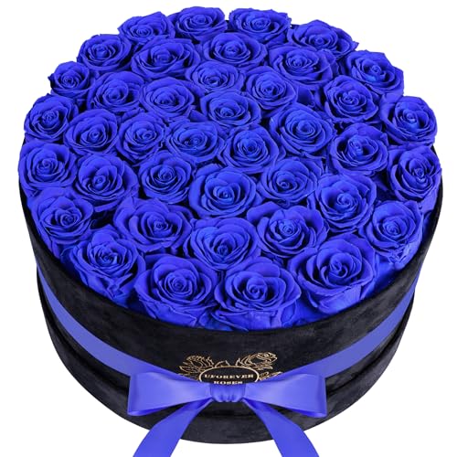 Luxury Preserved Roses in Suede Box - Flower Roses Gifts for Women, Valentines Day Flowers Mothers Day Roses - Birthday Flowers for Delivery Prime - 40 Pieces (Purple)