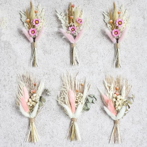 Mini Dried Flower Bouquet Set of 6, Boho Wedding Decor, Boutonniere for Men,Table Centerpieces, Dry Pampas Grass,Birthday Cake Flowers,Personalized Bridesmaid Gift Box,Small Bottles Decoration.(White)