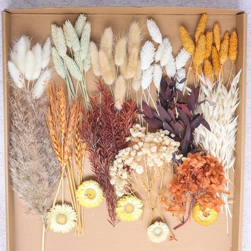 DIY Dried Flower Set, Bulk Dried Flowers,Handmade Ideas, DIY Flower Set Bouquet, Door Hanging Wreath, Desktop Decoration Mini Dried Flower (Pink)