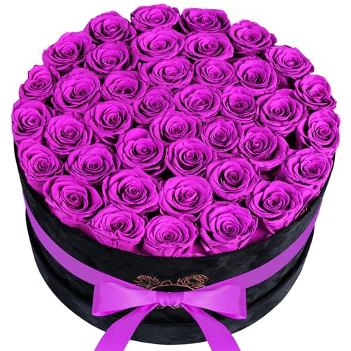 Luxury Preserved Roses in Suede Box - Flower Roses Gifts for Women, Valentines Day Flowers Mothers Day Roses - Birthday Flowers for Delivery Prime - 40 Pieces (Pink)