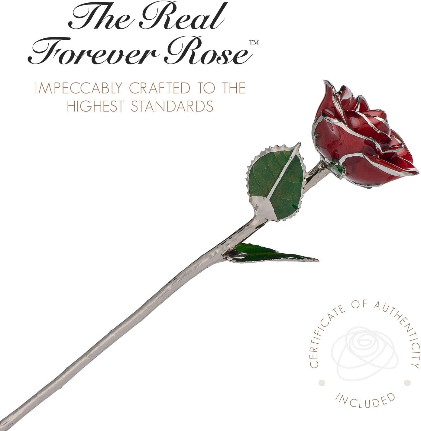 Forever Rose Real Red Rose, Genuine One of a Kind Rose Hand Dipped in Lacquer & Trimmed in Platinum