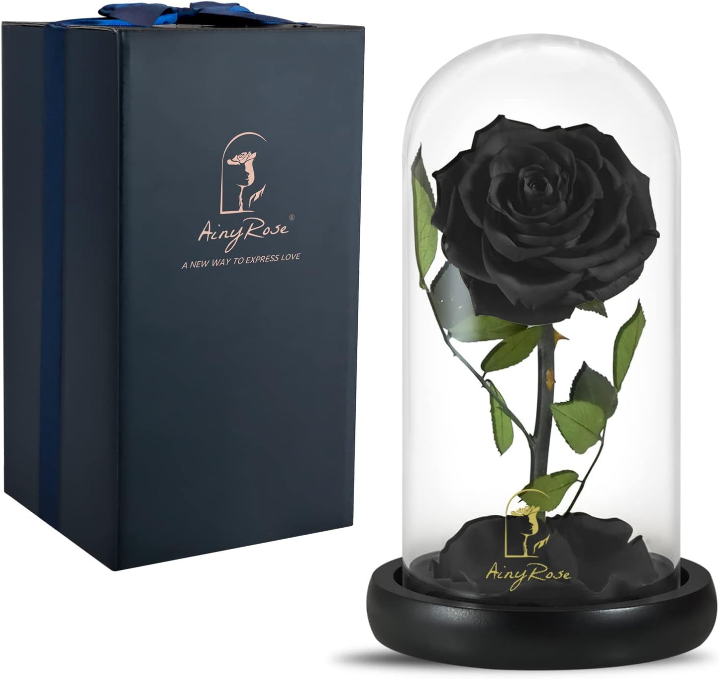 SW Forever Preserved Real Black Rose Flower Birthday Gifts for Mom Women,Valentines Gifts Black Eternal Flower in Glass Gifts for Valentine's Day Mothers Day Christmas Anniversary Birthday (Black)