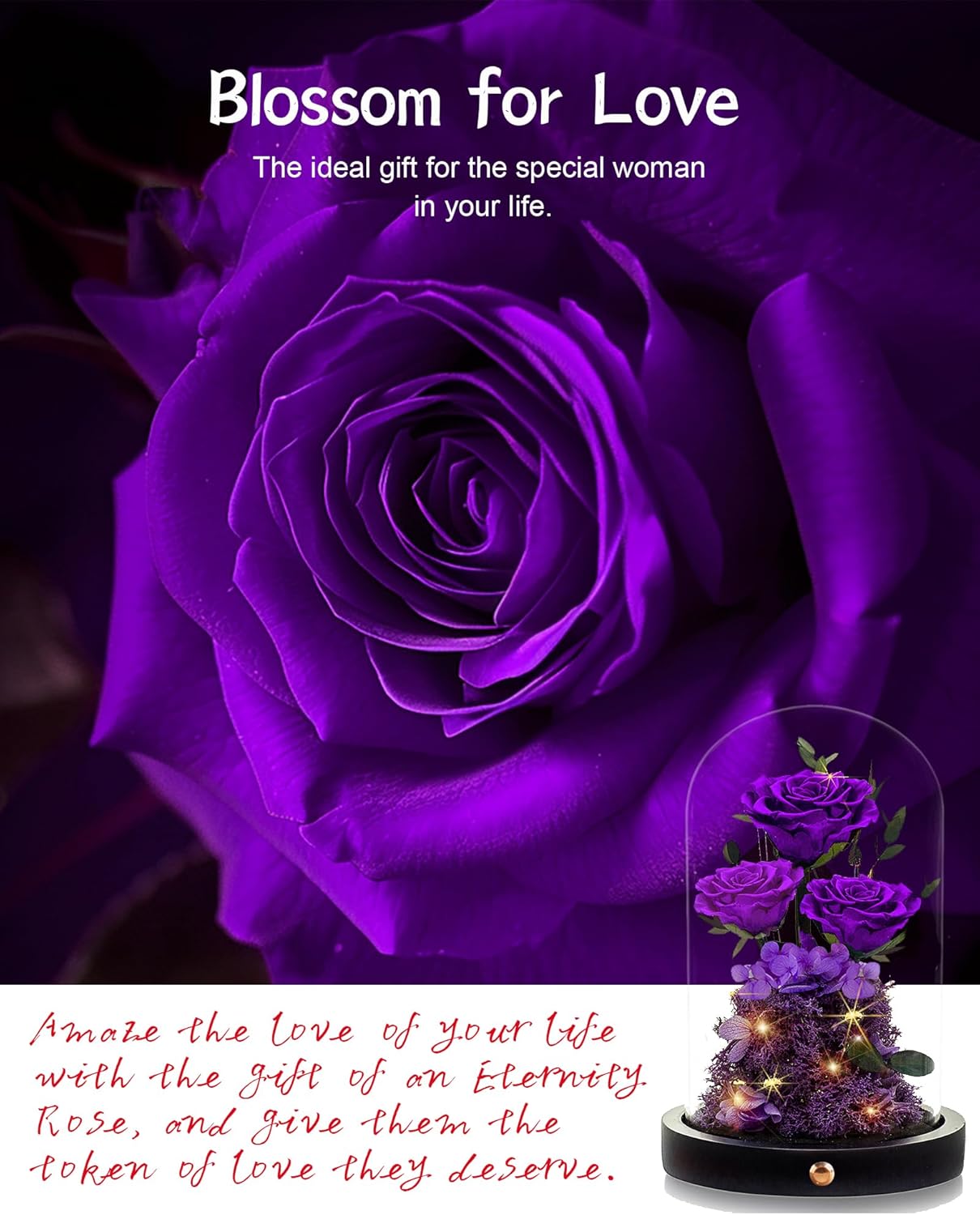 Valentines Day Flowers Roses Gifts for Women,Forever Preserved Roses in Glass Dome, Anniversary Thanksging Birthday Valentines Day Real Roses Gifts for Her Wife Mom Girlfrien/Purple