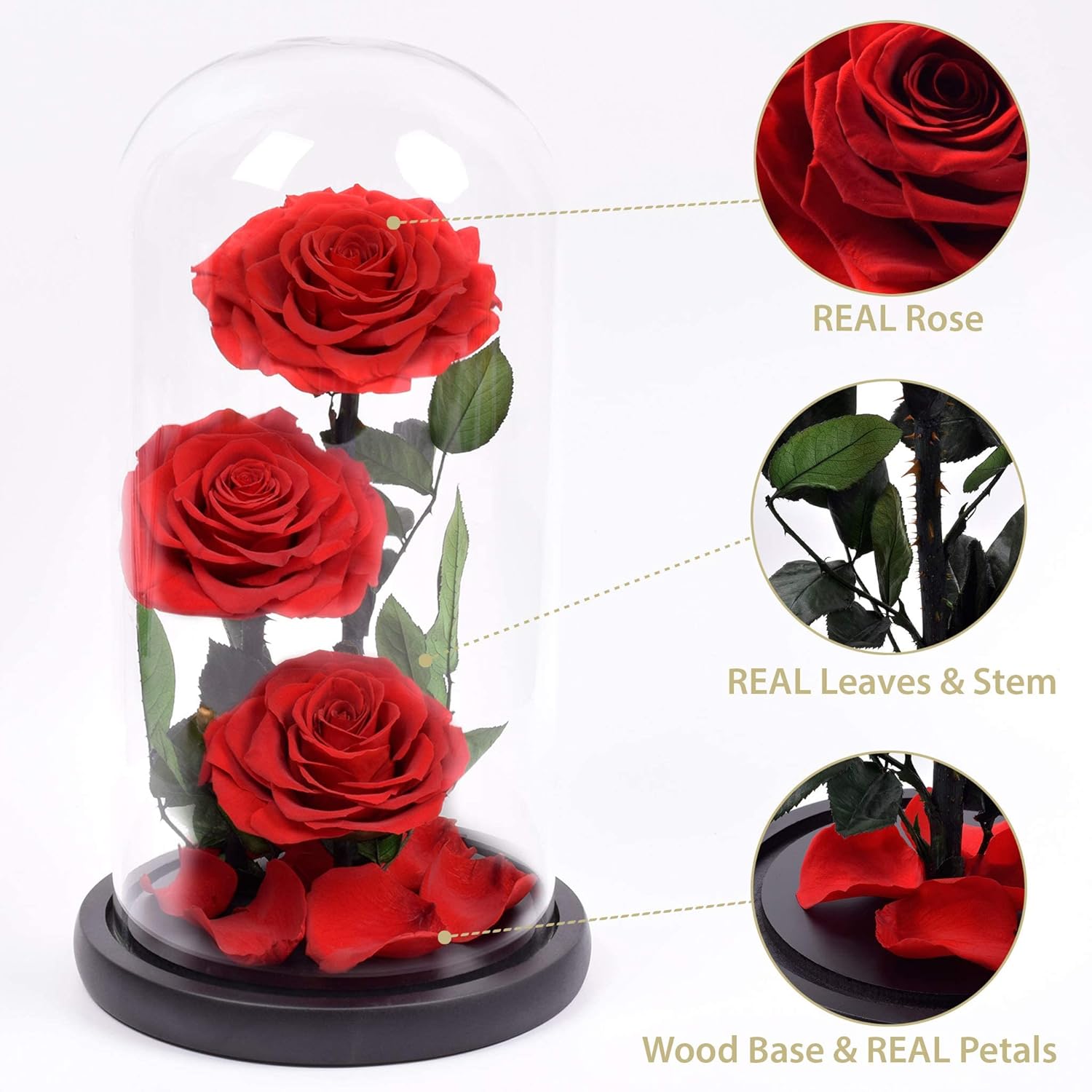 Luxury Preserved Real Rose Glass Dome Eternal Flower Forever Beauty Beast Love Gift for Mom Women Wife Girlfriend Valentine’s Wedding Birthday Anniversary Christmas Decor