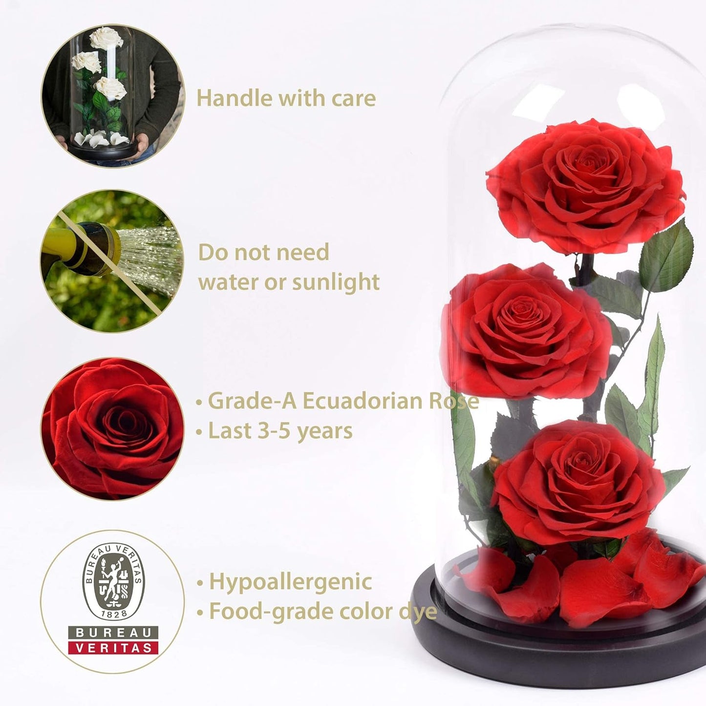 Luxury Preserved Real Rose Glass Dome Eternal Flower Forever Beauty Beast Love Gift for Mom Women Wife Girlfriend Valentine’s Wedding Birthday Anniversary Christmas Decor