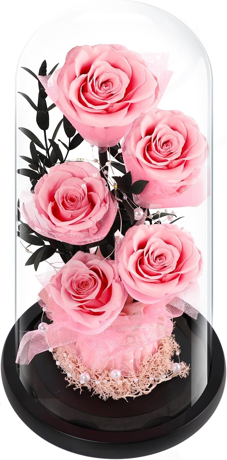 Valentines Day Gifts for Her Forever Flowers Roses in Glass Dome Delivery, Birthday Preserved Flower Gift for Women, Eternal Fresh Rose Flowers Mothers Day Gifts for Mom Wife Grandma(Pink Rose)