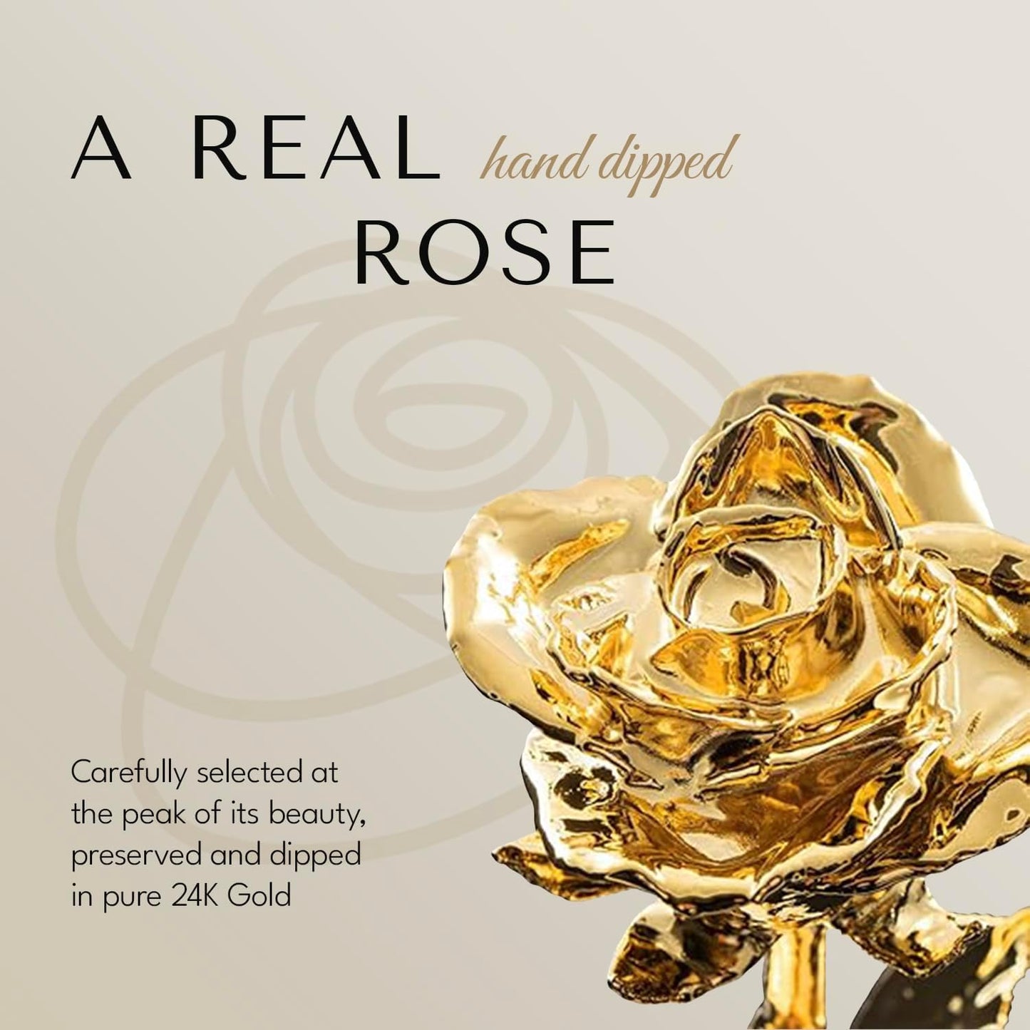 Forever Rose Real 24K Gold Rose & Clear Glass Bud Vase, Genuine One of a Kind Rose Hand Dipped in 24K Gold to Last a Lifetime