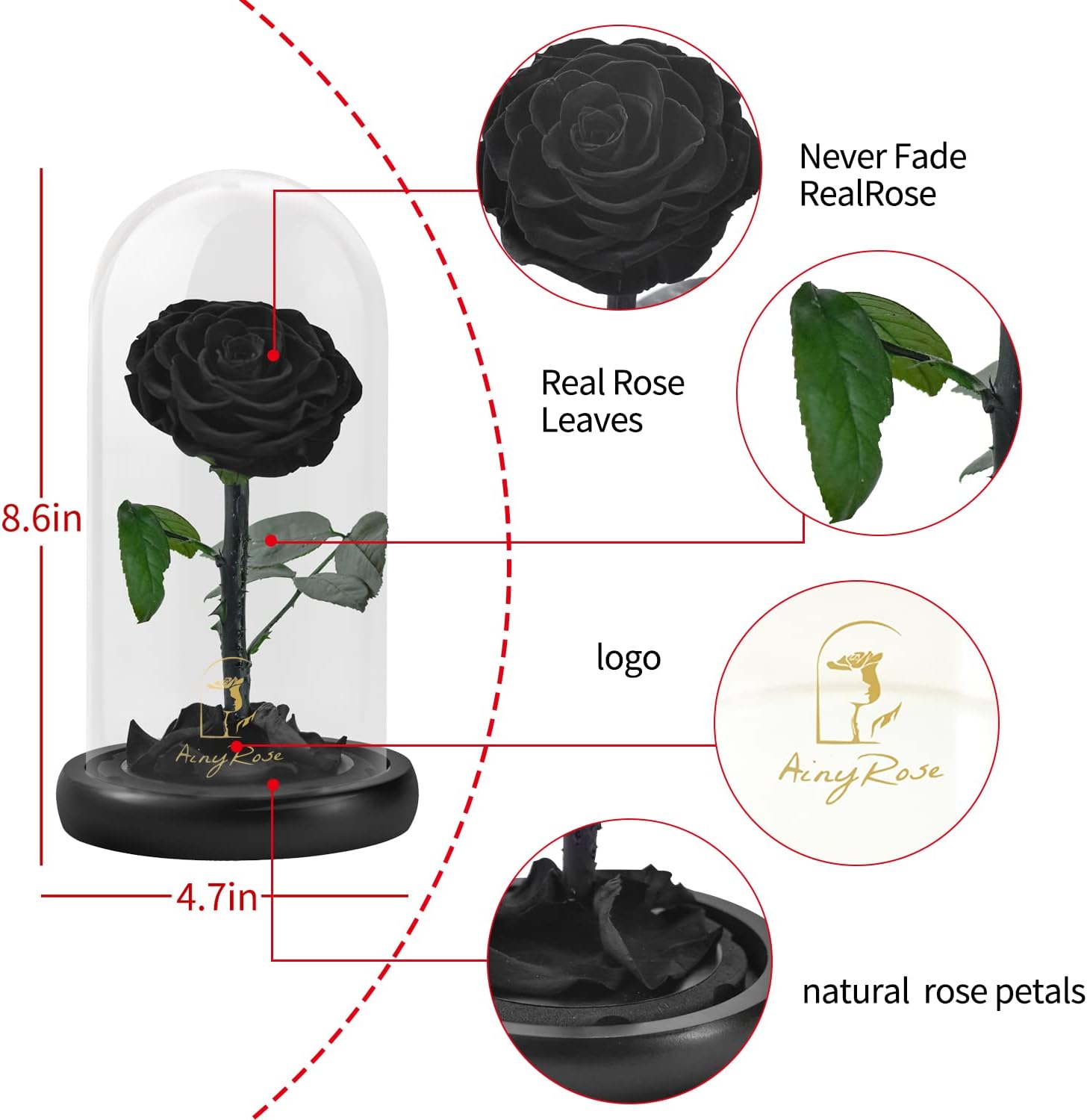 SW Forever Preserved Real Black Rose Flower Birthday Gifts for Mom Women,Valentines Gifts Black Eternal Flower in Glass Gifts for Valentine's Day Mothers Day Christmas Anniversary Birthday (Black)