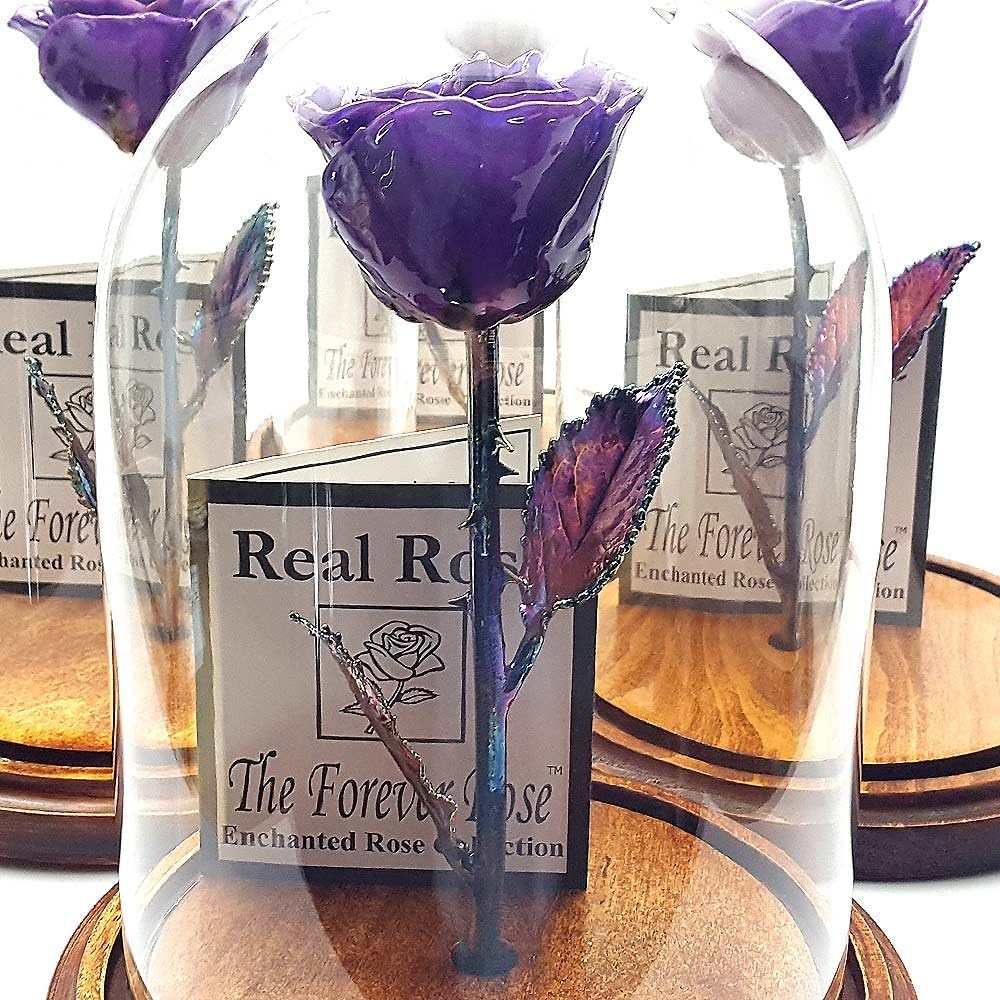 Forever Rose USA Brand - The Beauty and The Beast Rose - Enchanted Rose - This is a Real Rose! … (Purple)