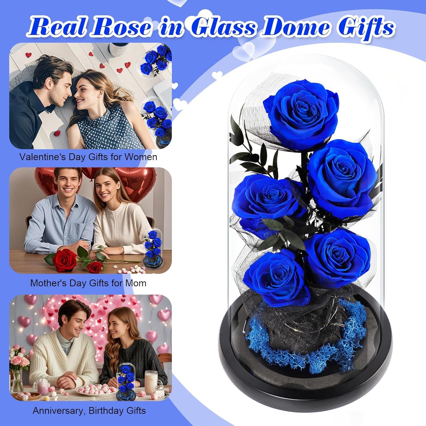 Valentines Day Gifts for Her Forever Flowers Roses in Glass Dome Delivery, Birthday Preserved Flower Gift for Women, Eternal Fresh Rose Flowers Mothers Day Gifts for Mom Wife Grandma(Royal Blue)