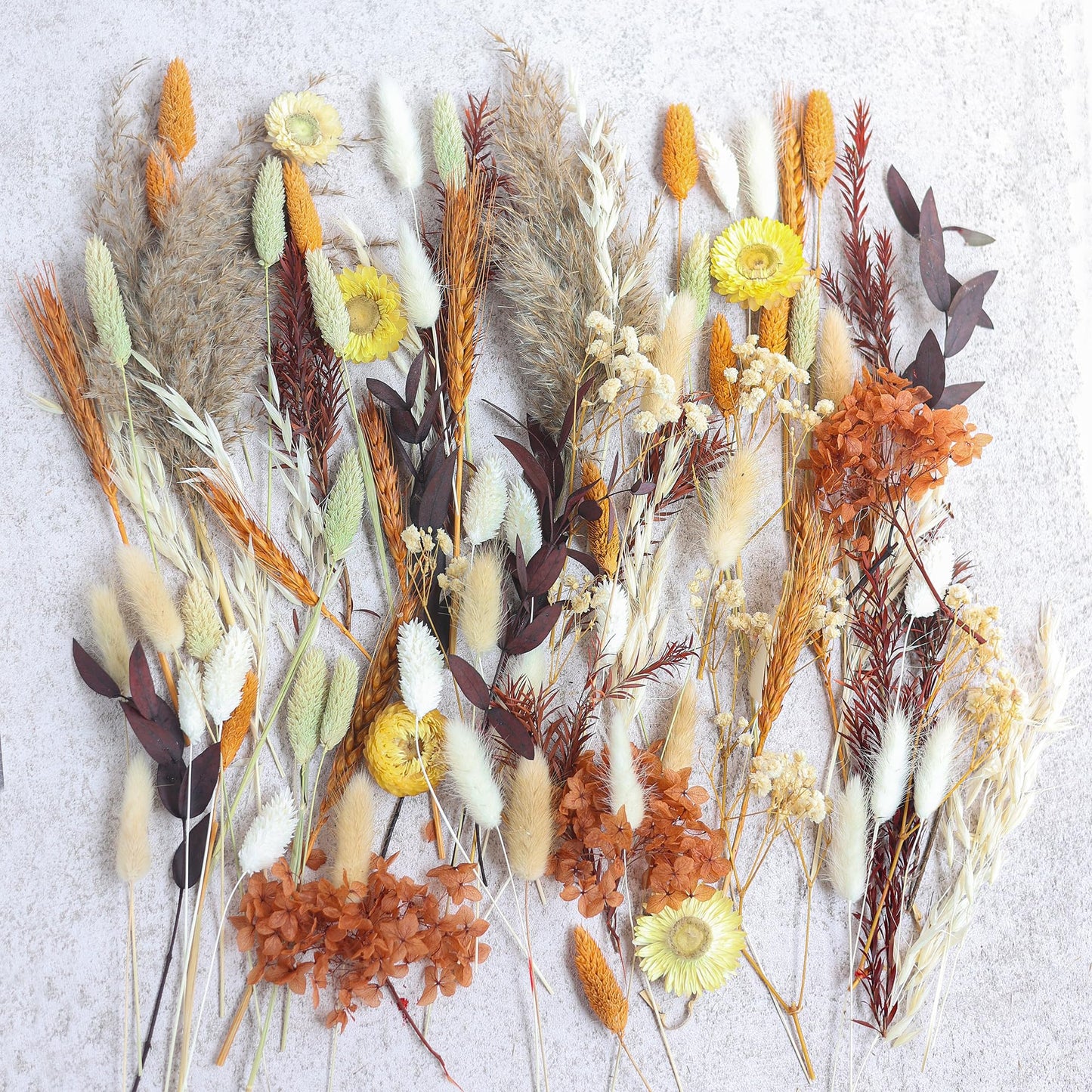 DIY Dried Flower Set, Bulk Dried Flowers,Autumn Decoration, DIY Bouquet Set, Door Hanging Wreath, Desktop Decorations Mini Dried Flowers (Orange)